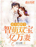 帝少通缉令:智萌双宝亿万妻