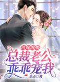 错嫁缠婚:总裁老公乖乖宠我